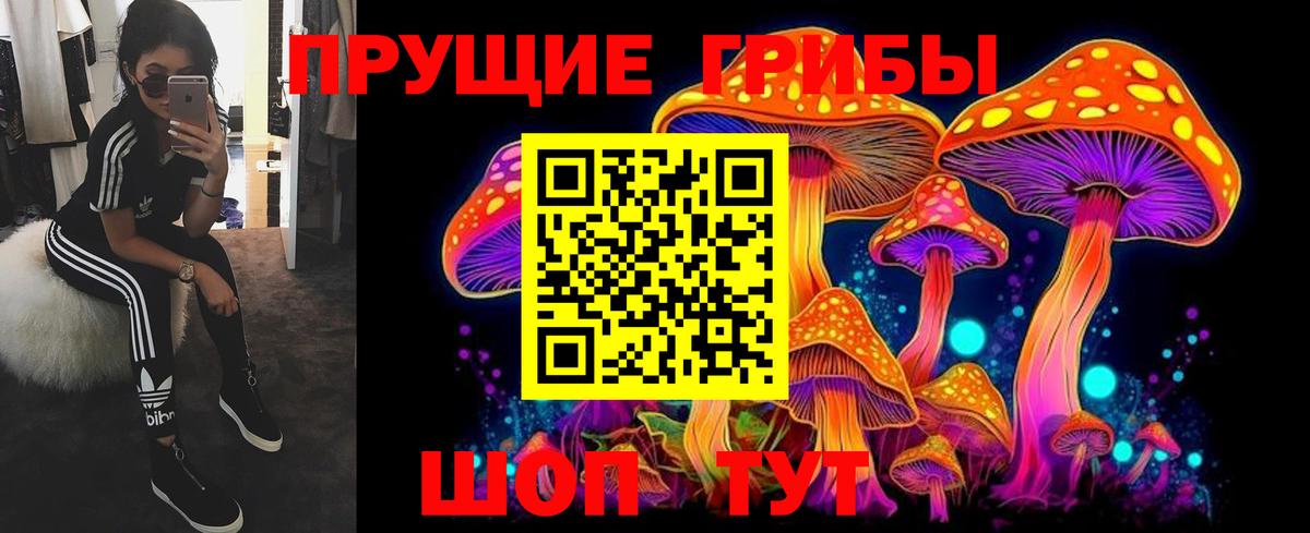 Галлюциногенные грибы Psilocybe Рыбинск