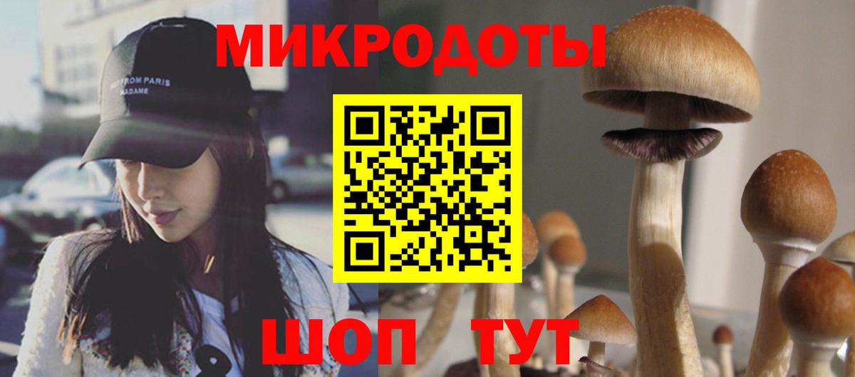 Рыбинск  Псилоцибиновые грибы Psilocybine cubensis  Вход с VPN 
